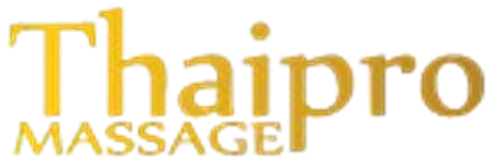 Primary Raster logo